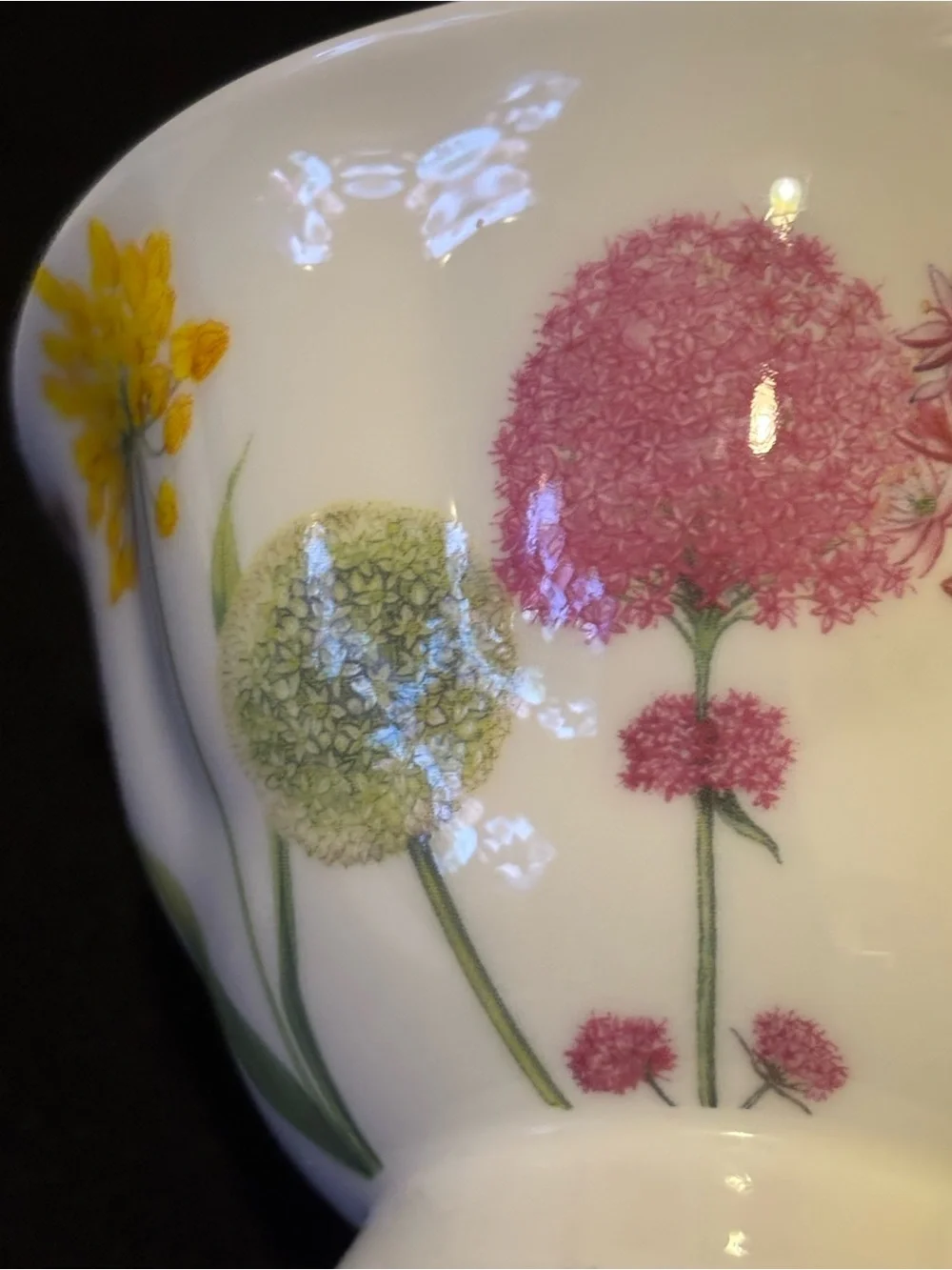 Stechol Bone China Snowball Teacup and Saucer Floral Design